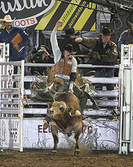 Seth Glause, 2008 Ellensburg Rodeo Xteme Bulls winner